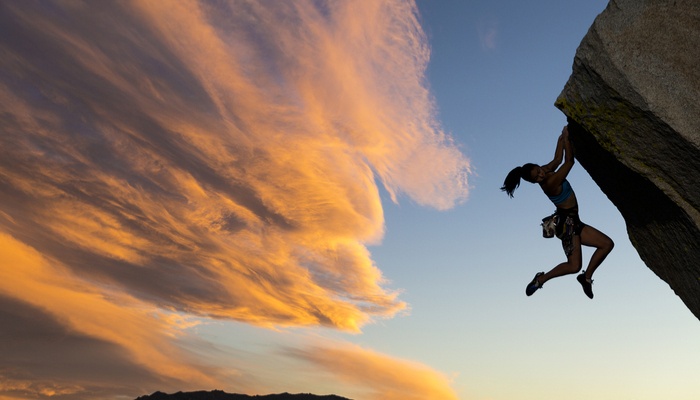 Coaching & Consulting