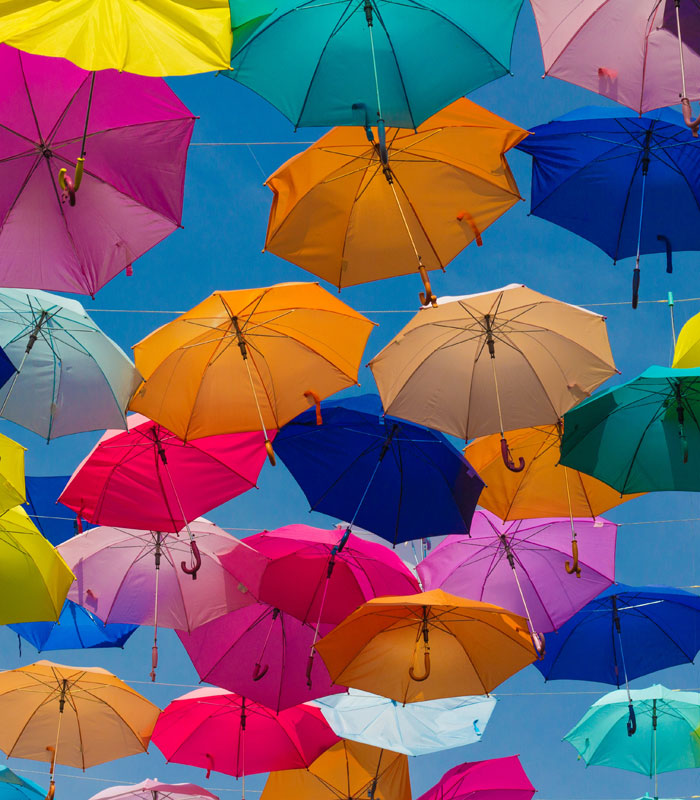 Coaching & Consulting